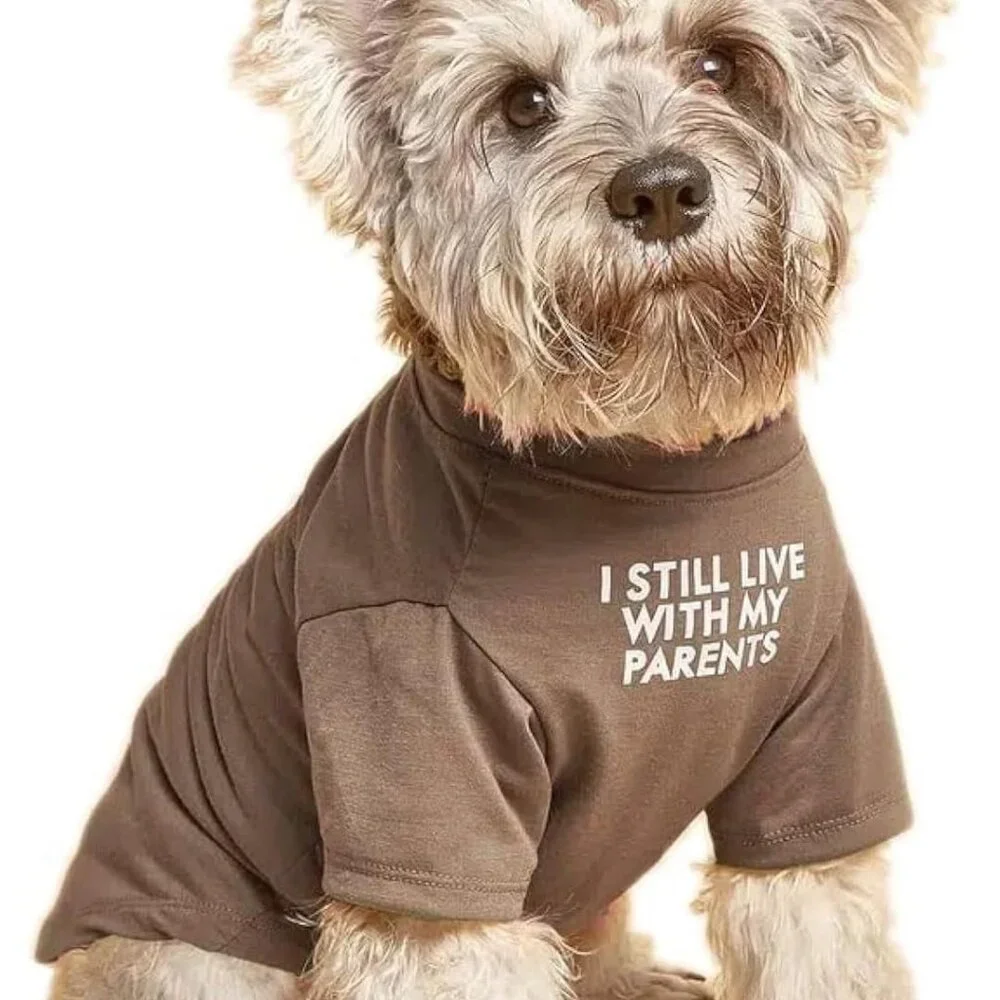 Cute Dog Clothes,Dog T Shirt for Medium Dogs.Dog Clothes for Small Dogs Girl Boy - Picture 1 of 6